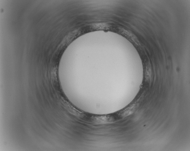 X0000073900473200609082152