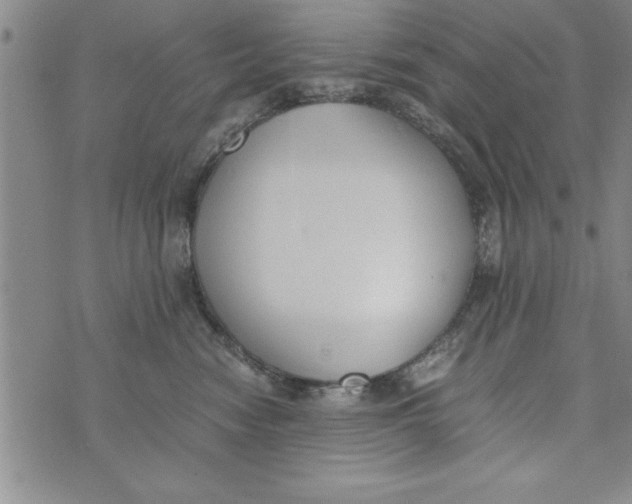 X0000073900474200609082152