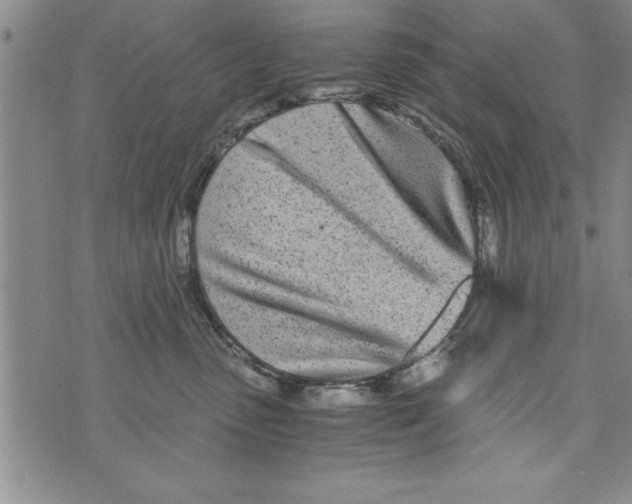 X0000073900475200609082152