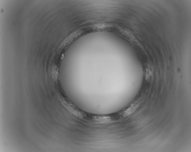 X0000073900476200609082152