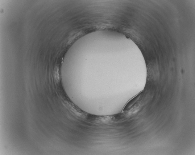 X0000073900479200609082152