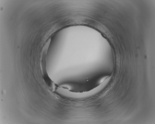 X0000073900481200609082151