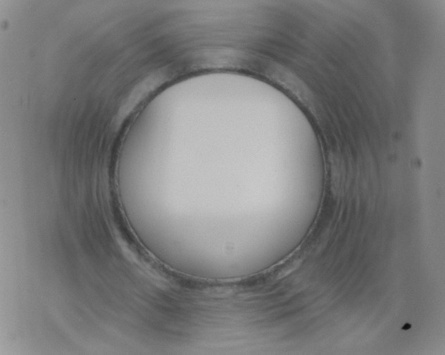 X0000073900482200609082151