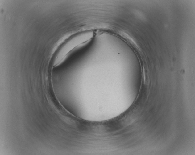 X0000073900483200609082151