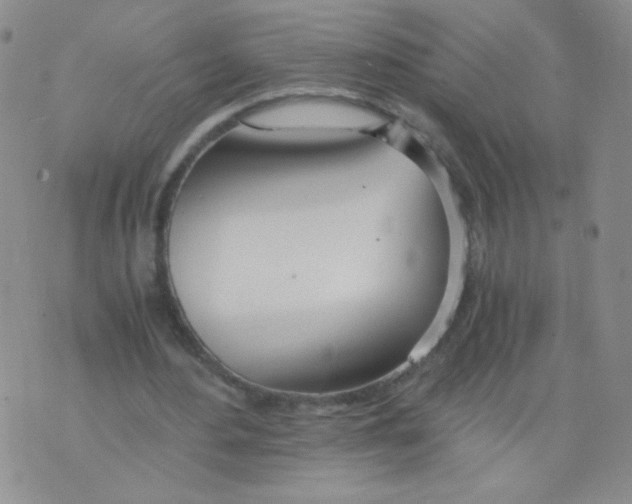 X0000073900484200609082151