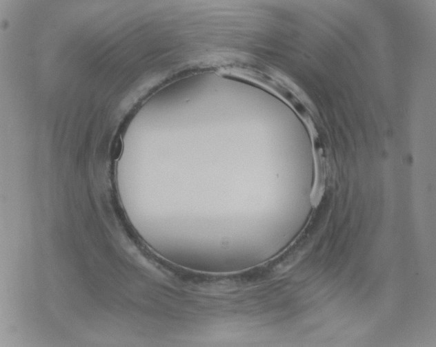 X0000073900485200609082151