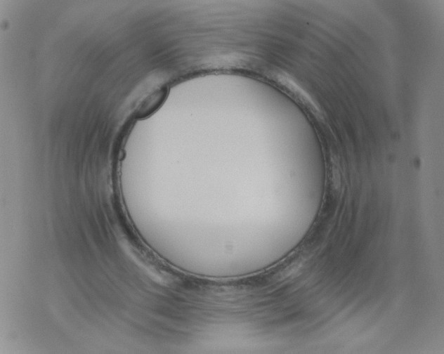 X0000073900486200609082151