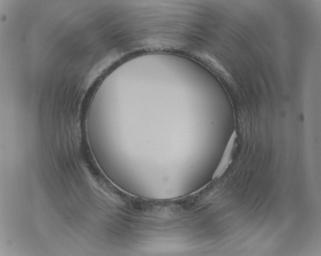 X0000073900488200609082151