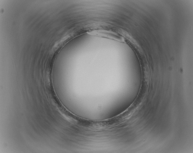 X0000073900489200609082151