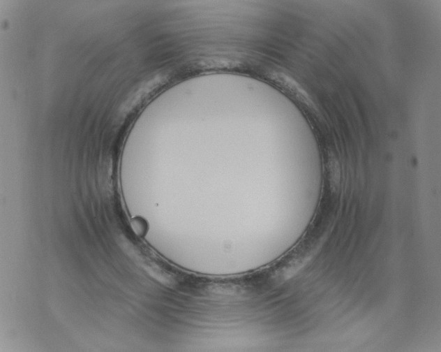 X0000073900490200609082151