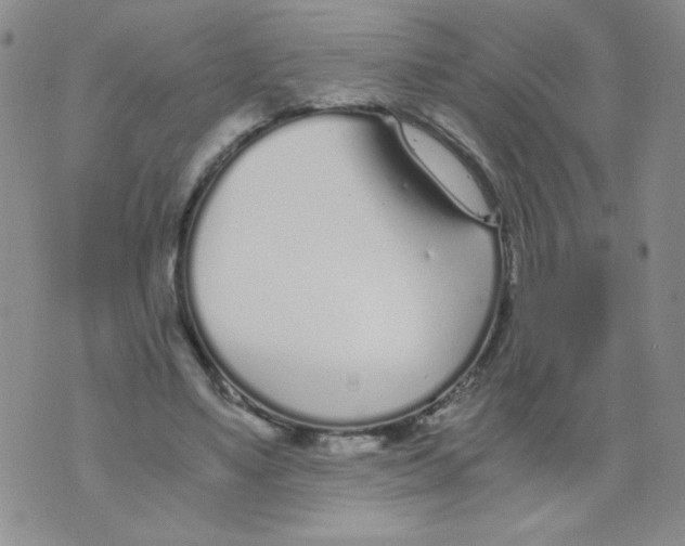 X0000073900491200609082151