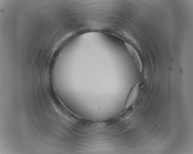 X0000073900492200609082151