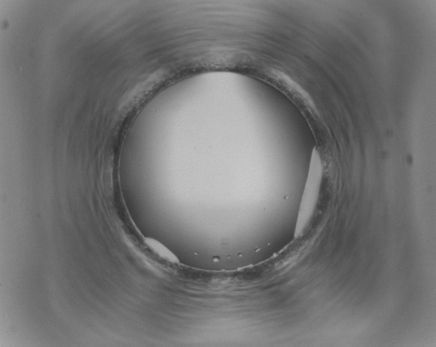 X0000073900493200609082151