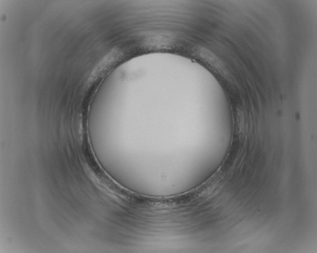 X0000073900494200609082151