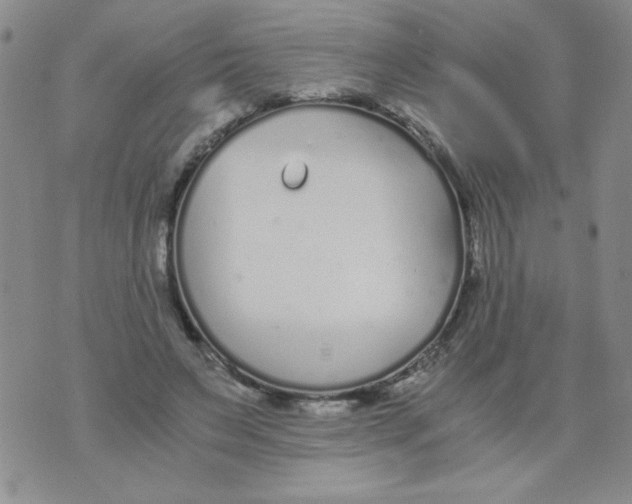 X0000073900495200609082151