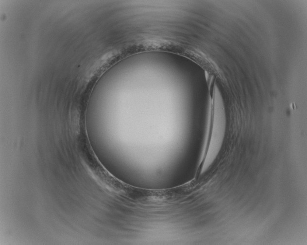 X0000073900496200609082151