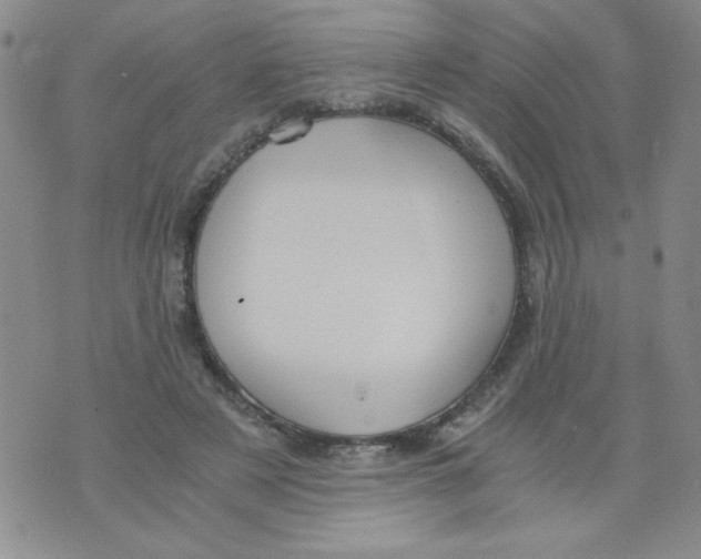 X0000073900497200609082151