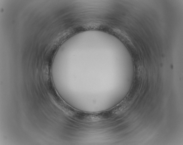 X0000073900498200609082151