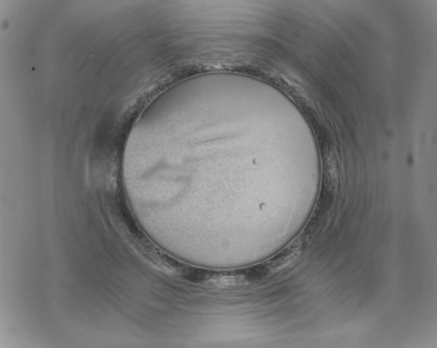 X0000073900499200609082151