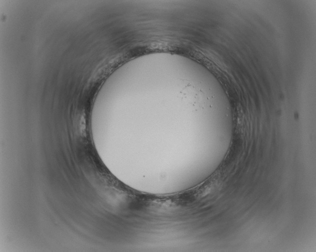 X0000073900502200609082151