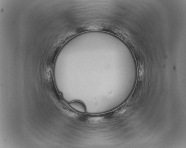 X0000073900503200609082151