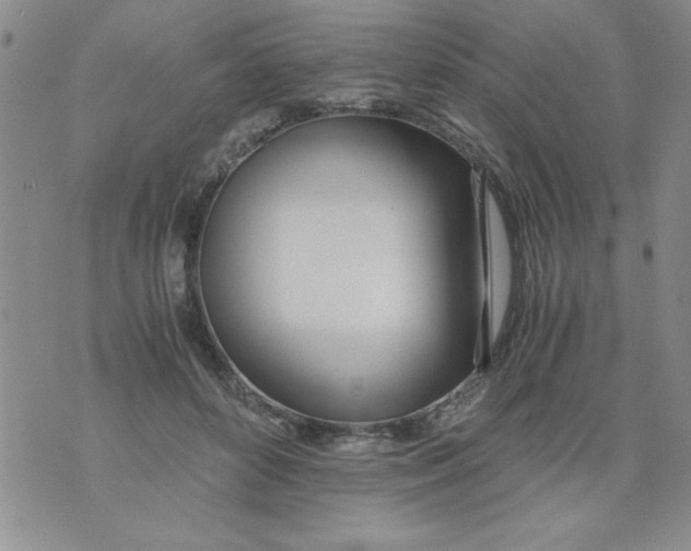 X0000073900504200609082151