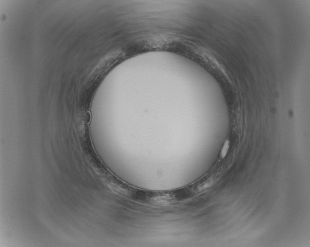 X0000073900505200609082151