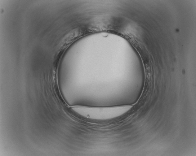 X0000073900507200609082151