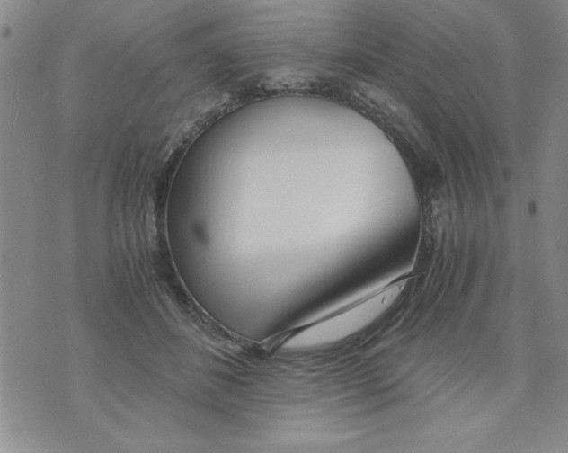 X0000073900508200609082151