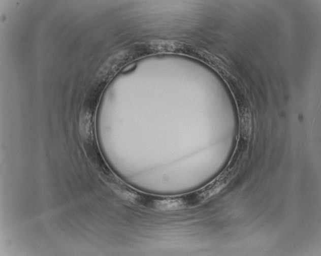 X0000073900511200609082151