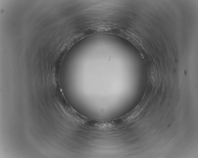 X0000073900512200609082151