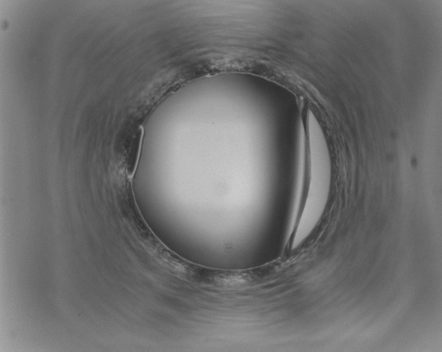 X0000073900513200609082151