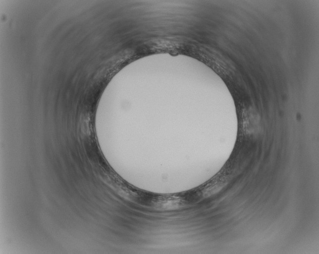 X0000073900514200609082151