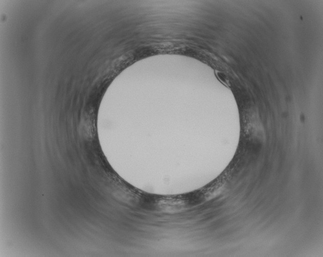 X0000073900515200609082151