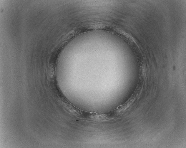 X0000073900517200609082151