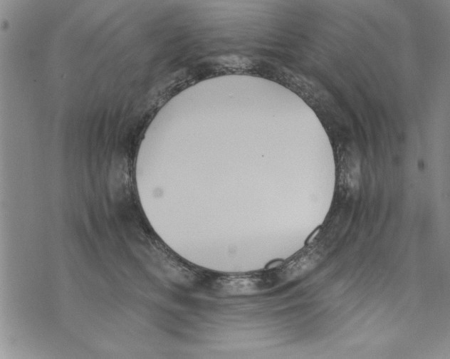 X0000073900518200609082151