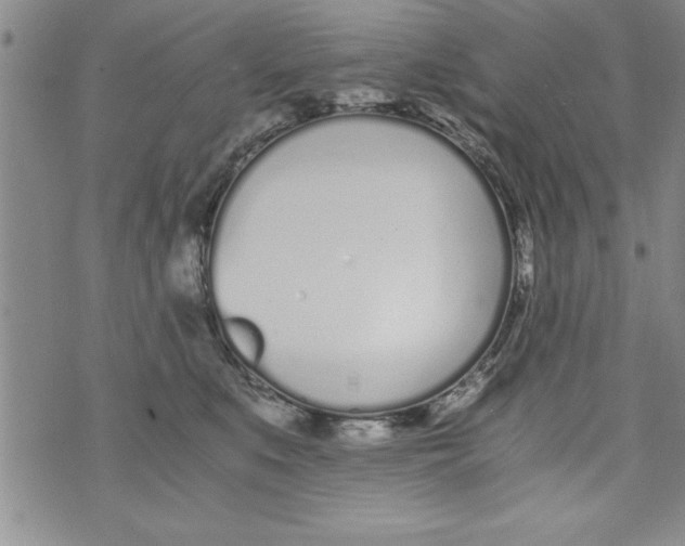 X0000073900519200609082151