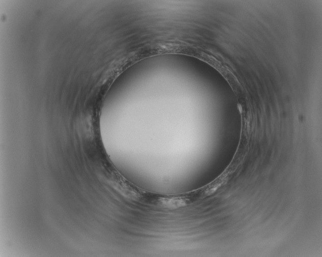 X0000073900520200609082151