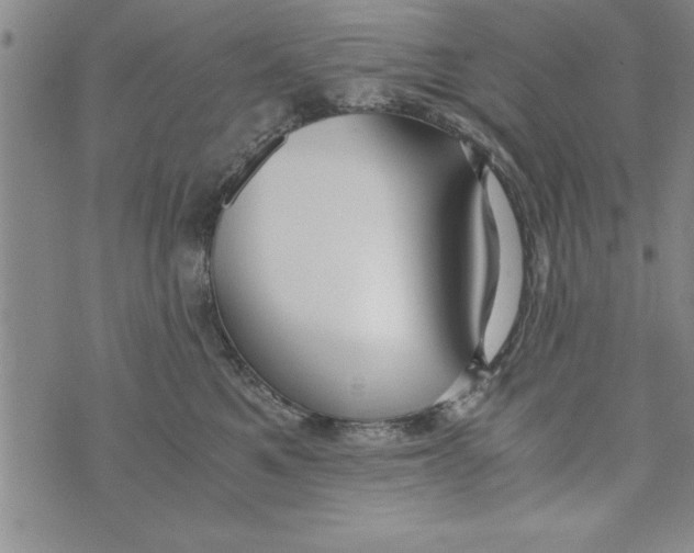 X0000073900521200609082151