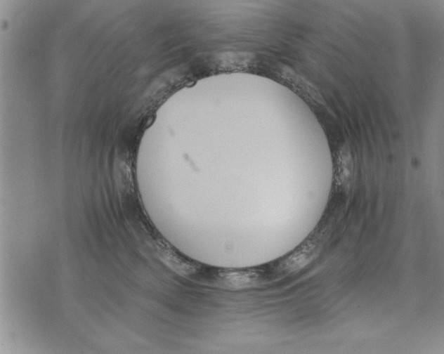 X0000073900522200609082151