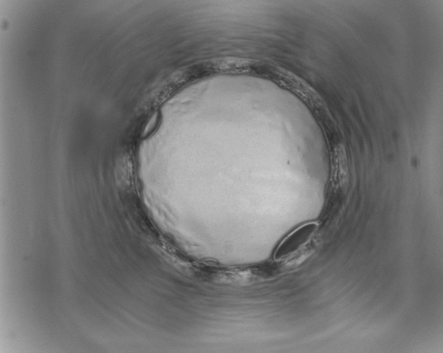 X0000073900523200609082151