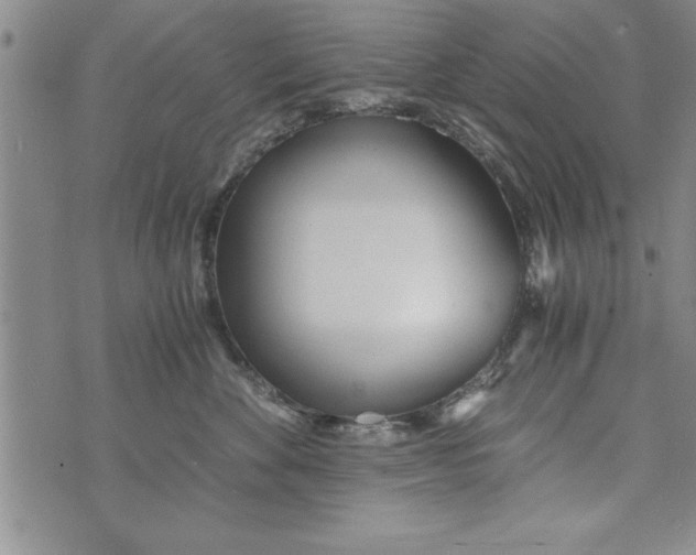 X0000073900524200609082151