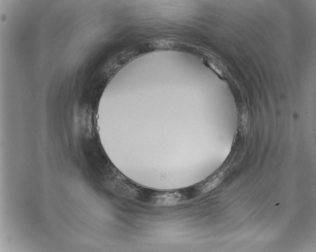 X0000073900525200609082151