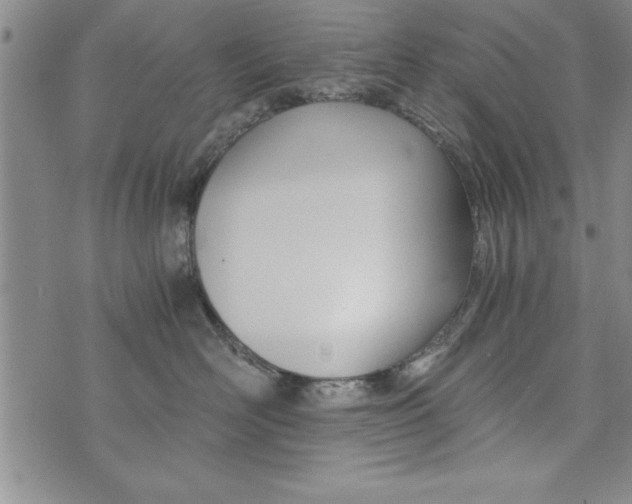 X0000073900526200609082151