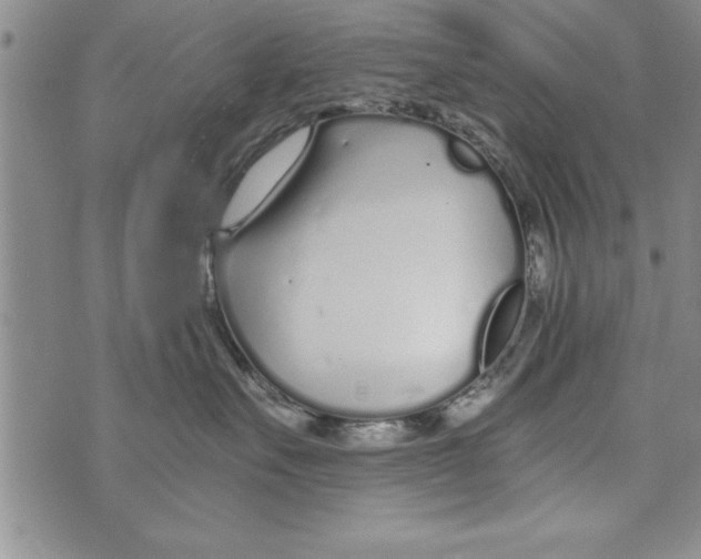 X0000073900527200609082151