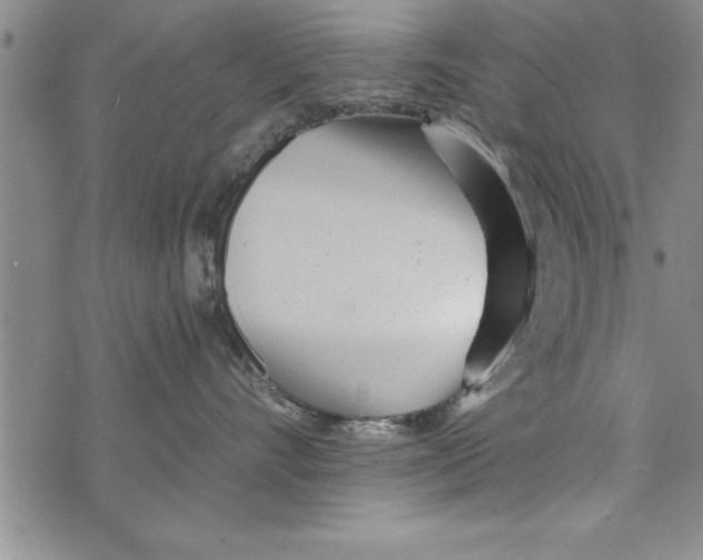 X0000073900528200609082151