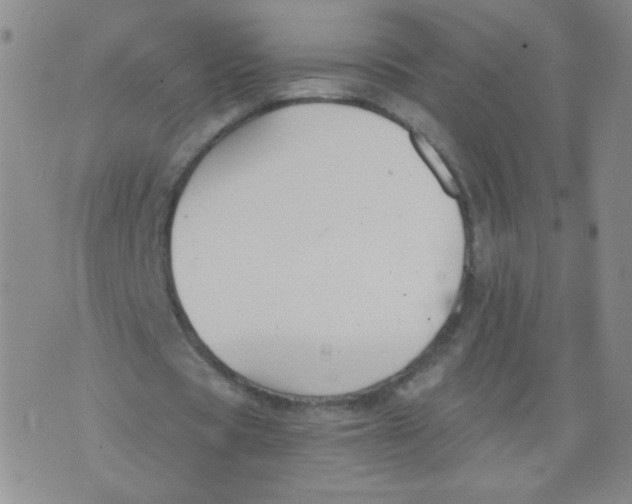 X0000073900529200609082150