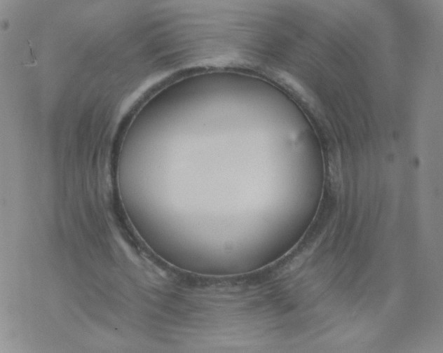 X0000073900532200609082150