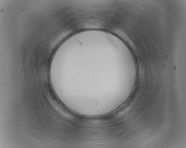 X0000073900533200609082150