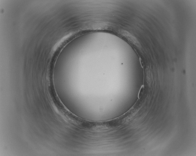 X0000073900536200609082150